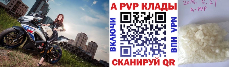 сколько стоит  Кашин  А ПВП СК 