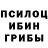 Псилоцибиновые грибы MAGIC MUSHROOMS AMER1CA