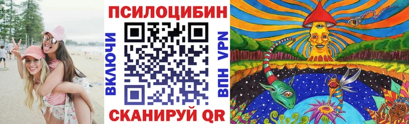 Псилоцибиновые грибы Psilocybe  купить закладку  Кашин 